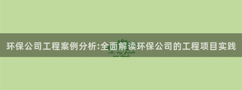 彩名堂用不了：环保公司工程案例分析: