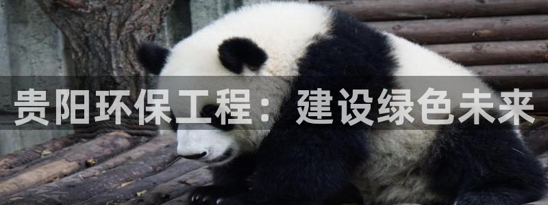 彩名堂官方下载地址：贵阳环保工程：建