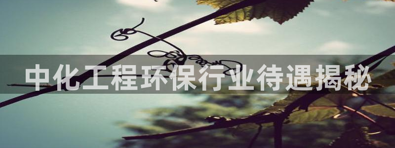 彩名堂是不是不能用了吗：中化工程环保