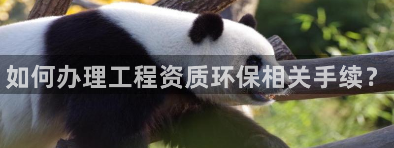 彩名堂怎么跟计划才不连挂呢