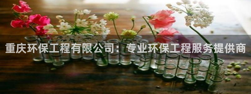 彩名堂最新计划下载地址