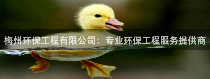 彩名堂50版本计划