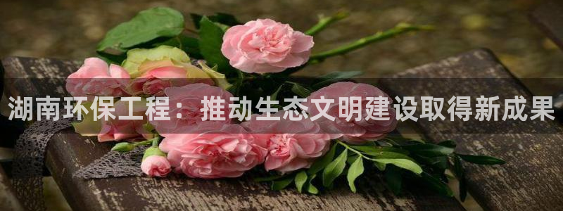 彩名堂免费计划官网怎么进不去了：湖南