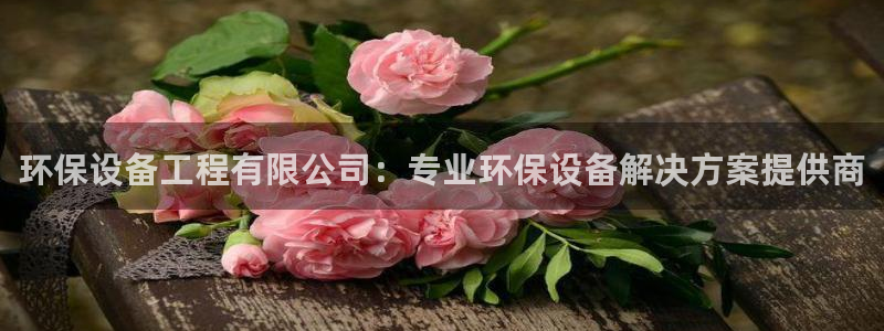 彩名堂不能用了吗