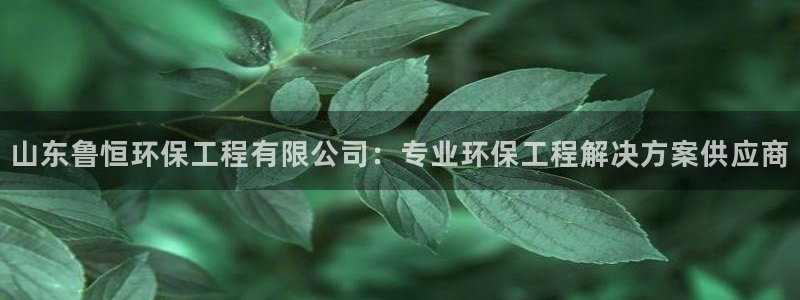 彩名堂双彩网：山东鲁恒环保工程有限公