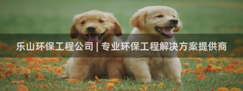 最新彩名堂计划