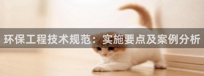 彩名堂5.0计划