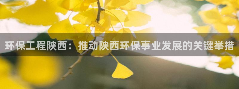 彩名堂计划技巧有哪些