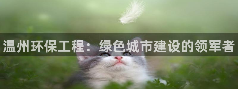 彩名堂客服电话号码