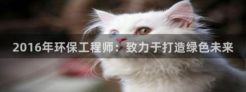 彩名堂官网网页计划