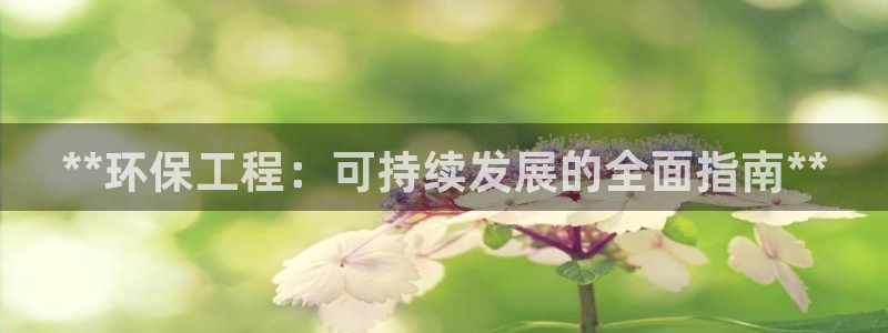 彩名堂网页