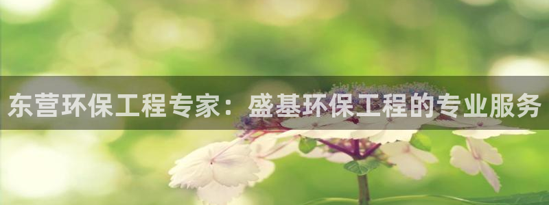 东营环保工程专家：盛基环保工程的专业服务