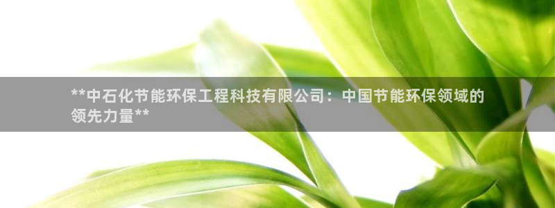 彩名堂app彩名堂客户端
