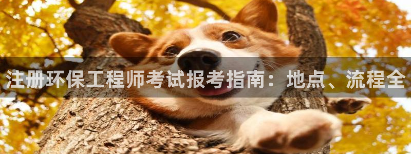 彩名堂加拿大怎么买准确率高