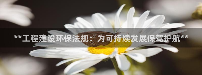 彩名堂跟哪种最好用：**工程建设环保