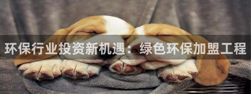 彩名堂合作655560