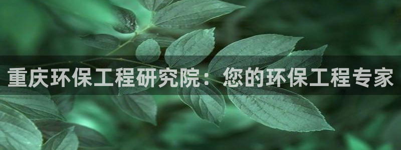 彩名堂官网客户端