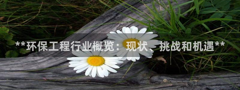彩名堂官网计划01：**环保工程行业