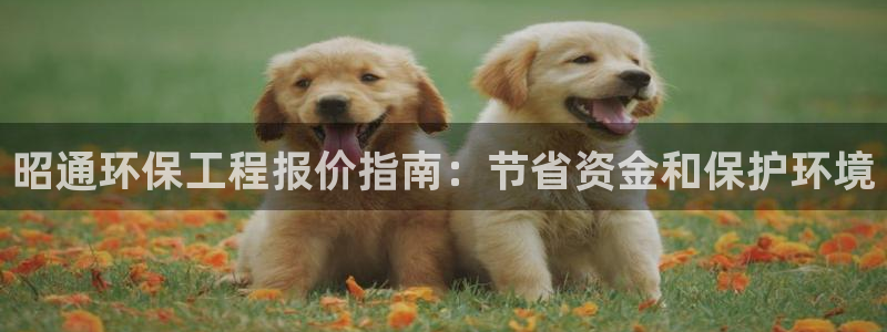 彩名堂最新计划下载地址：昭通环保工程