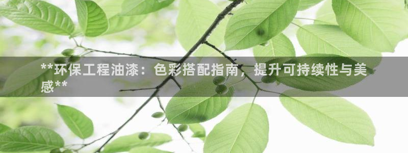 彩名堂为啥又不能用了：**环保工程油