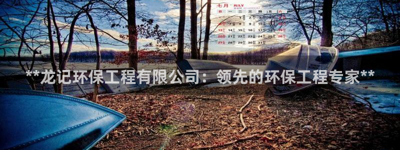 彩名堂计划最新版手机版：**龙记环保