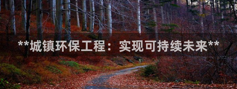 彩名堂好用还是千里马好用：**城镇环