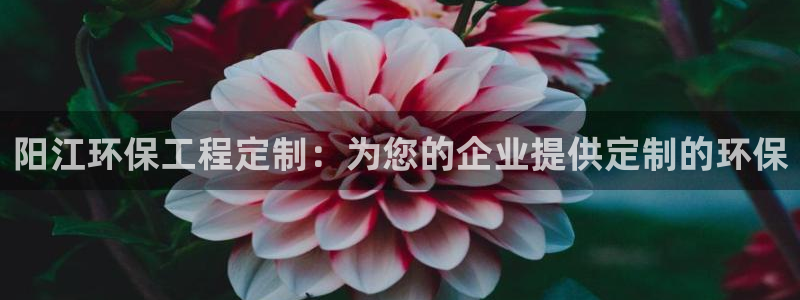 彩名堂人工预测免费计划：阳江环保工程