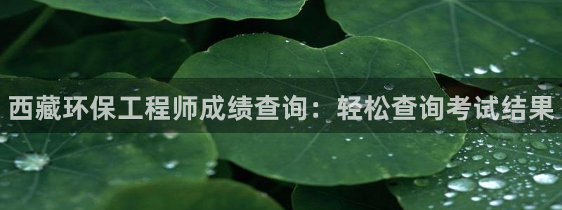 彩名堂安卓客户端官网：西藏环保工程师