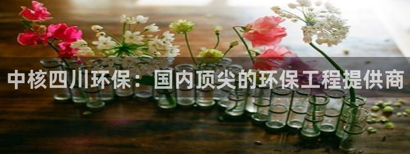 彩名堂计划官方下载网址：中核四川环保