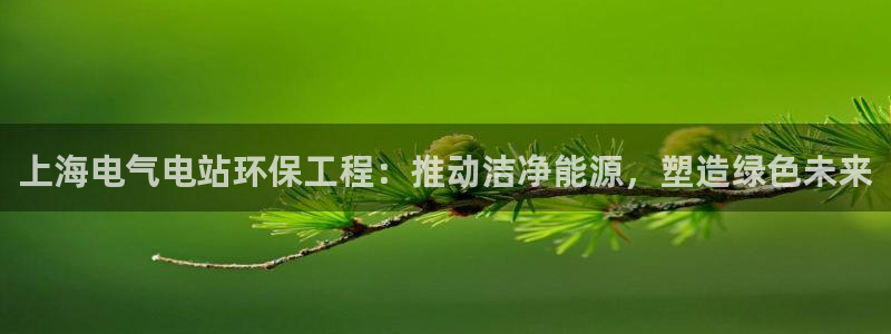 彩名堂用不了：上海电气电站环保工程：