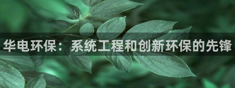 彩名堂使用方法和用量：华电环保：系统