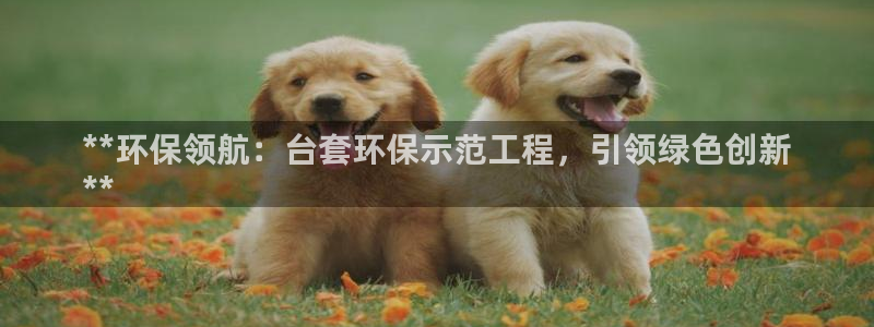 彩名堂苹果版怎么不能用了：**环保领