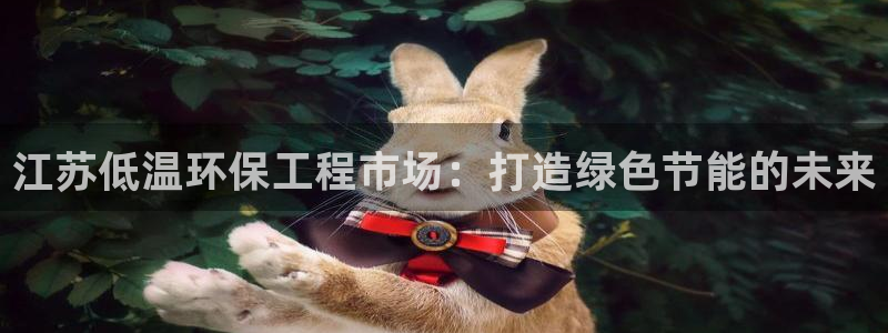 彩名堂官网谁有：江苏低温环保工程市场