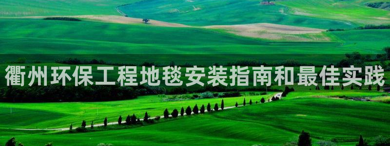 最新彩名堂计划：衢州环保工程地毯安装指南和最佳实践
