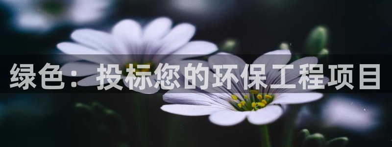 彩名堂怎么样：绿色：投标您的环保工程