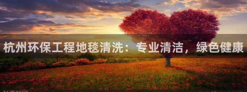 彩名堂客户端加拿大：杭州环保工程地毯