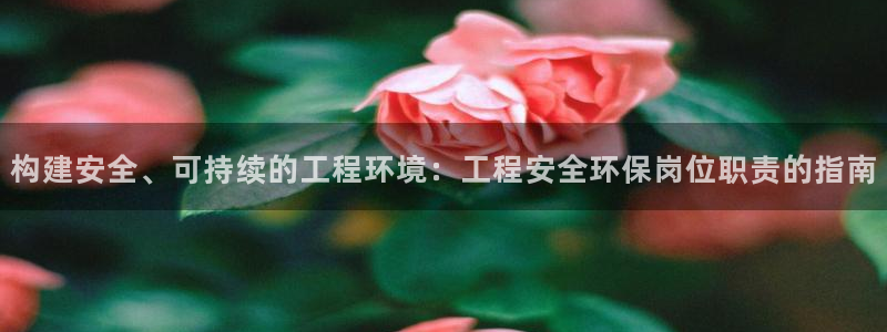 彩名堂平台：构建安全、可持续的工程环