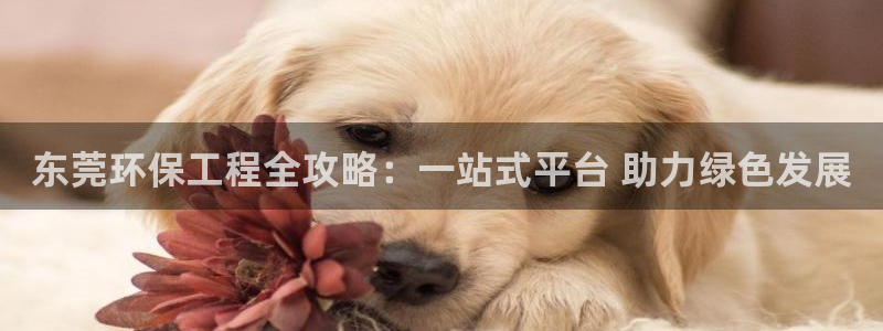 如何进入彩名堂官网更新：东莞环保工程