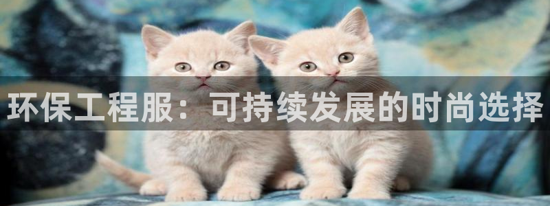 彩名堂安卓客户端官网：环保工程服：可