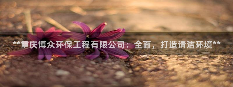 彩名堂官方平台：**重庆博众环保工程