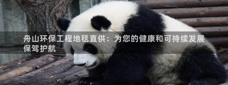 彩名堂的拼音：舟山环保工程地毯直供：