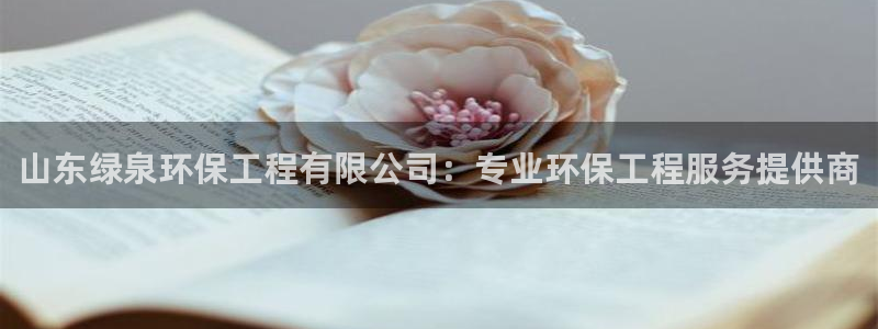 彩名堂改成什么名字了：山东绿泉环保工