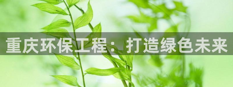 彩名堂怎么不能用了：重庆环保工程：打