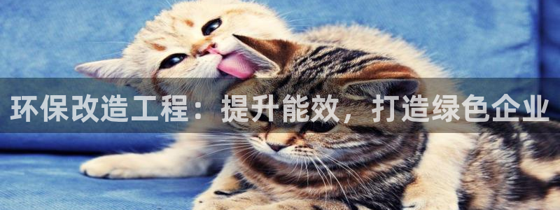 彩名堂还能用吗：环保改造工程：提升能效，打造绿色企业