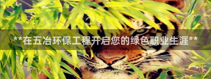 彩名堂官网计划客户端：**在五冶环保工程开启您的绿色职业生涯**
