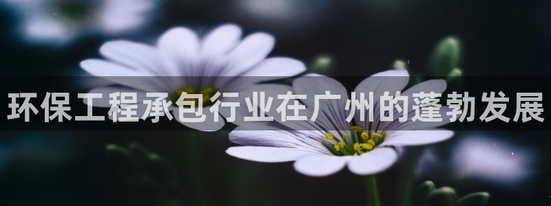 彩名堂客户：环保工程承包行业在广州的