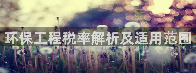 彩名堂计划官方客服：环保工程税率解析