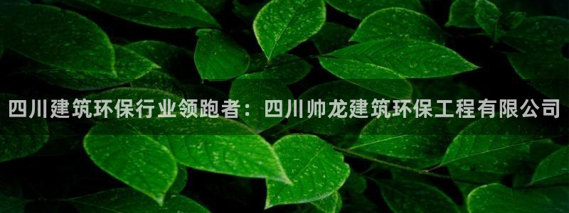 彩名堂平台：四川建筑环保行业领跑者：
