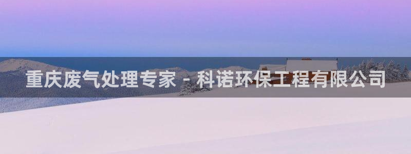 彩名堂旧版本：重庆废气处理专家 - 
