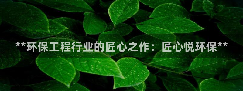 彩名堂5.0计划：**环保工程行业的
